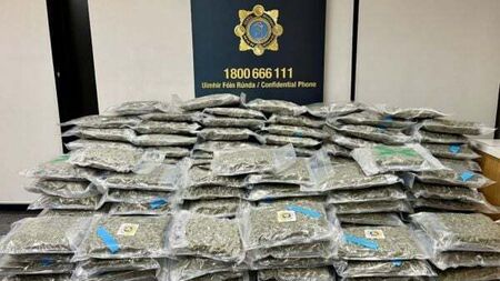 Gardaí arrest man after cannabis worth €3.2m found in vehicle on M50