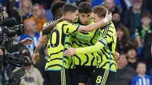 Arsenal back on top with commanding win over Brighton Arsenal back on top with commanding win over Brighton