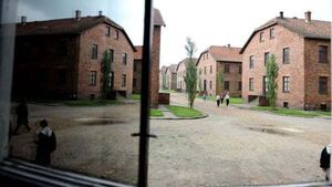 Filming The Tattooist Of Auschwitz ‘took its toll on everyone’, says actress Filming The Tattooist Of Auschwitz ‘took its toll on everyone’, says actress