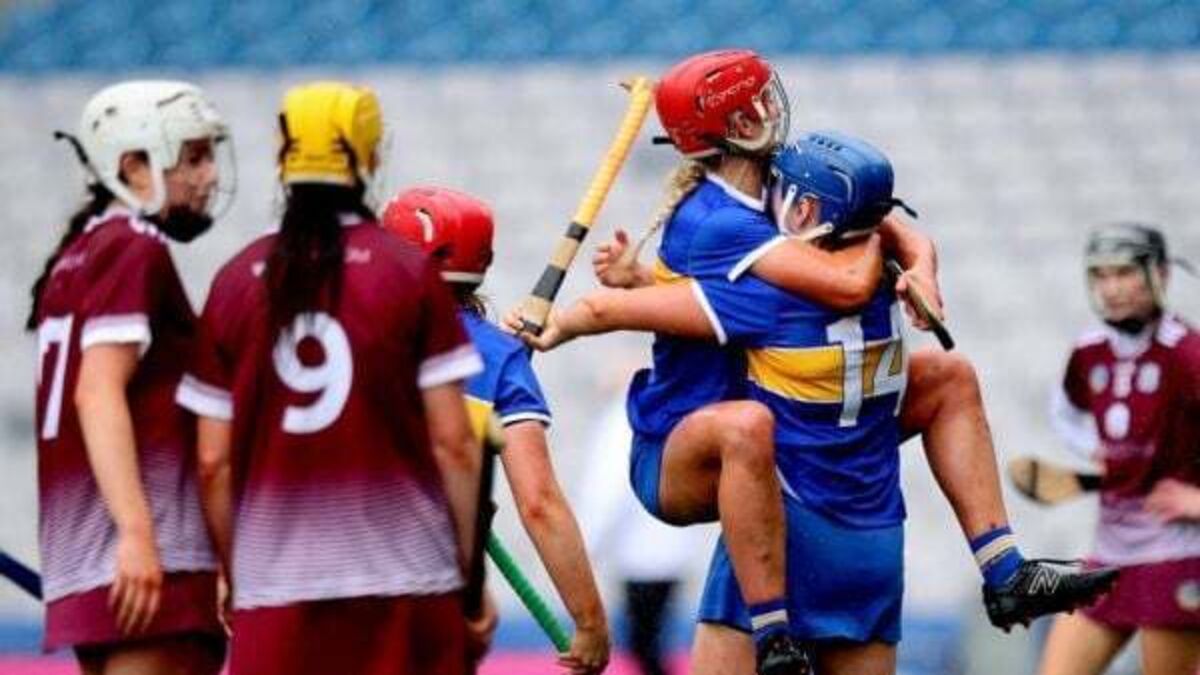 Sunday sport: Tipperary claim Division 1A title, Toulouse take last Champions Cup SF spot