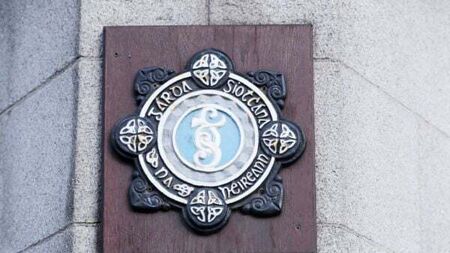 Garda says videos of protest outside O’Gorman’s home are 'sensationalised'