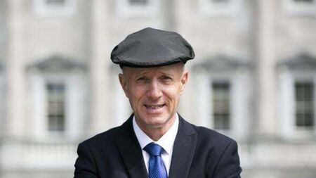 Man pleads guilty to intimidating Michael Healy-Rae outside Leinster House