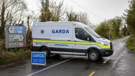 Young man killed in South Galway collision