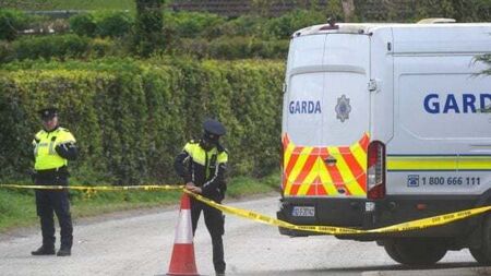 Trudder site is now accommodating asylum seekers after protest – minister