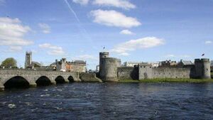 Family of man who plunged to his death while working on Limerick bridge settle action for €1.1m