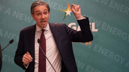 Simon Harris criticises ‘siloed’ approach to disability services