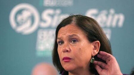 Sinn Féin is 'Eurocritical', not Eurosceptic, says McDonald