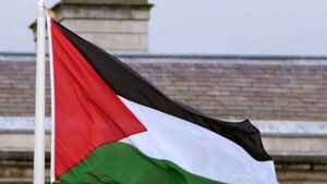 Palestinian flag taken down from Leinster House Palestinian flag taken down from Leinster House