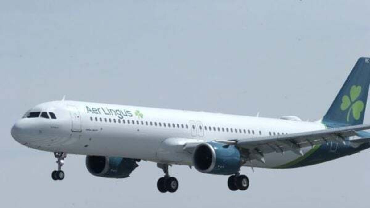 Aer Lingus pilots vote in favour of strike action as fears grow over service disruptions