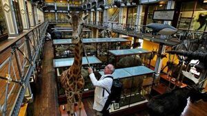 Natural History Museum to close for extensive building conservation works