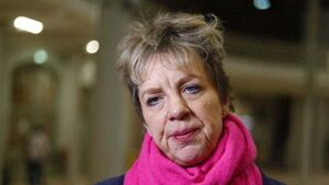 Most people expect early general election in autumn, says Bacik