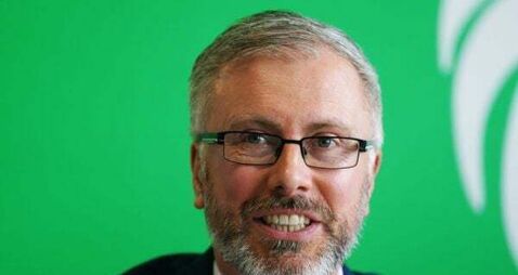 Two-horse race for Green Party leadership expected to be declared