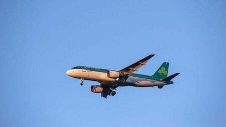 Aer Lingus to contact passengers as flights cancelled due to industrial action