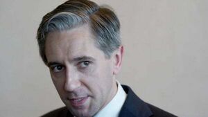 Taoiseach praises woman beaten unconscious by soldier for ‘speaking out’