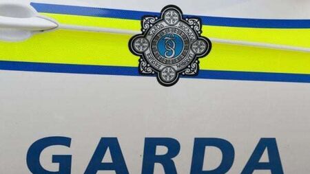 Teenager arrested after violent disorder incidents in Phoenix Park