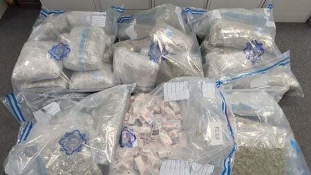 Two people arrested after over €900,000 of drugs seized in Dublin