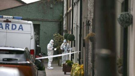 Bloodstained woman who was found naked on street told garda: 'I killed my mother'