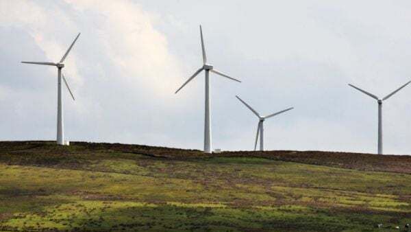 Wind farm development in Cork refused planning to protect whooper swan habitat