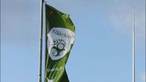 Three former coaches 'stood down' by FAI following allegations by female players Three former coaches 'stood down' by FAI following allegations by female players