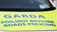 Man (30s) dies in Longford single-vehicle crash