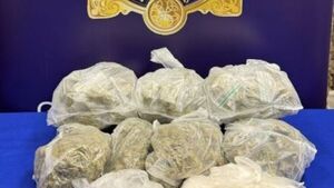 Man arrested as gardaí seize cannabis and cocaine worth €97,000 Man arrested as gardaí seize cannabis and cocaine worth €97,000