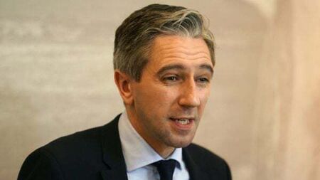 Government needs to do more to tackle rising toll of road deaths – Harris