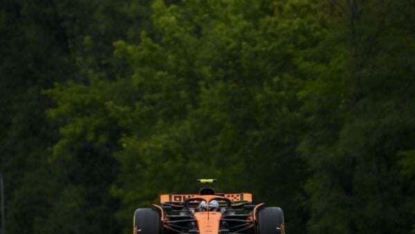 Lando Norris secures fastest time in final practice for Hungarian Grand Prix