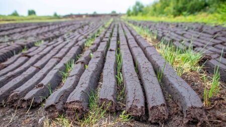 Man claims he was too busy working in bog to attend Garda station - on 29 occasions