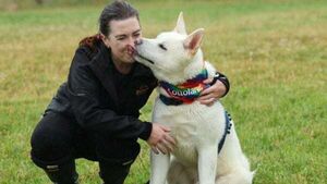 DSPCA reports surge in multiple breeds of teenage dogs being surrendered