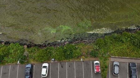 Scale of change needed to tackle Lough Neagh problems 'unprecedented'