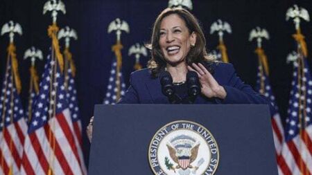 Harris must win over Republican-leaning voters who went with Biden in 2020 - former Irish ambassador