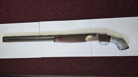 Gardaí seize firearm and ammunition in Co Westmeath