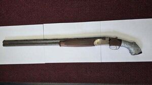 Gardaí seize firearm and ammunition in Co Westmeath Gardaí seize firearm and ammunition in Co Westmeath