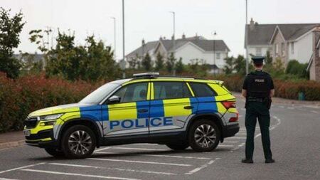 Operation to make wartime bomb safe in Co Down ‘could take five days’ – police