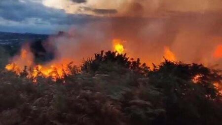 Firefighters battle gorse fire on Dublin's Killiney hill
