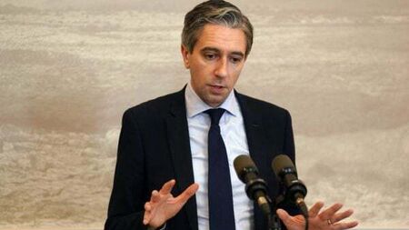 Mother of boy needing life-saving scoliosis surgery pleads with Taoiseach 'for actual action'