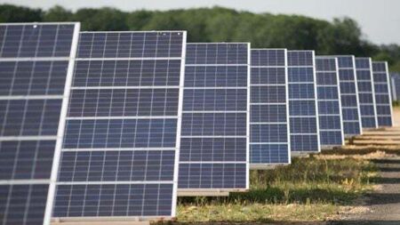 Appeals board green light 600 acre solar farm in Kildare despite equine industry concerns