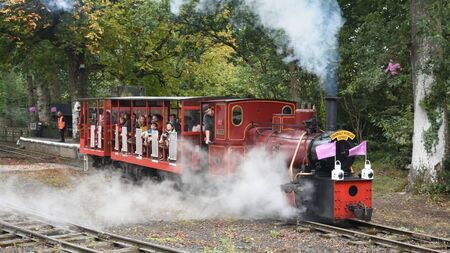 Local notes: Celebrations, jazz mass and Tour de Picnic in Stradbally