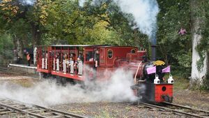 Local notes: Celebrations, jazz mass and Tour de Picnic in Stradbally Local notes: Celebrations, jazz mass and Tour de Picnic in Stradbally
