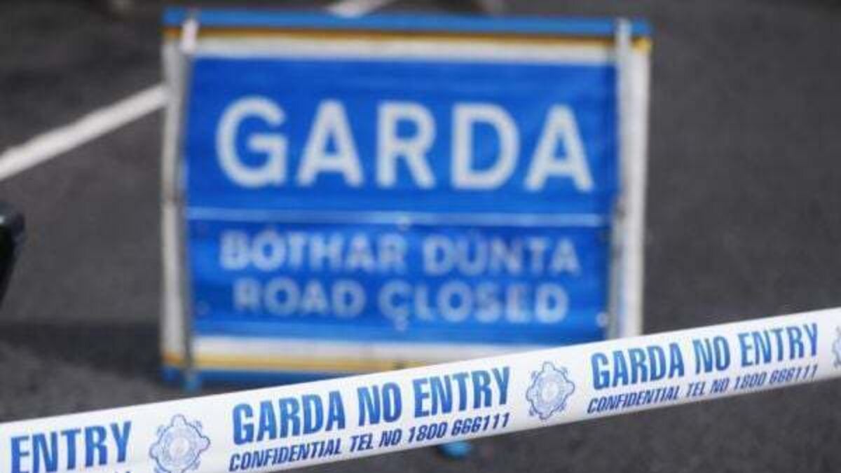 Man (20s) dies, woman (50s) and child seriously injured in Roscommon crash