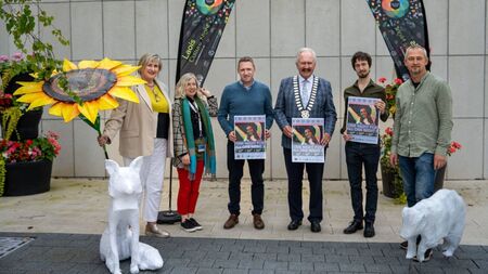 Free events in Laois on Culture Night
