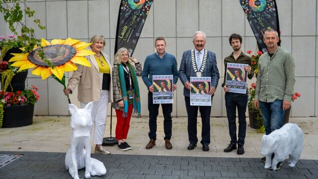 Free events in Laois on Culture Night