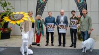 Free events in Laois on Culture Night