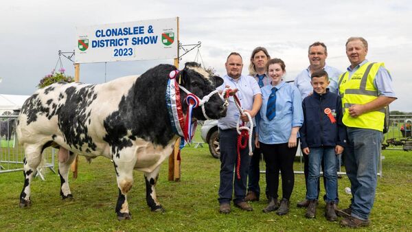 Clonaslee show
