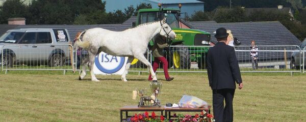 Clonaslee Show
