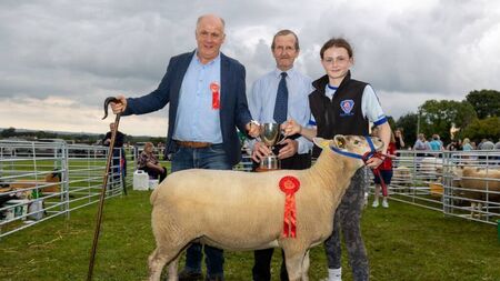 Clonaslee is a hotbed of activity with the 70th annual show coming soon