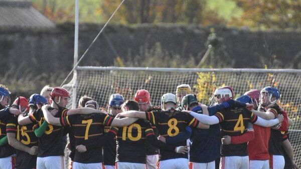 Stars of The Heath GAA clubs past, present and future