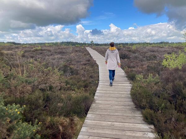 Next year will mark the 25th anniversary of the landmark blockade at Abbeyleix Bog 