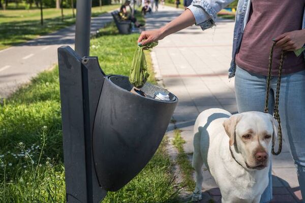 Dog fouling litter is an offence and we encourage people to call the hotline if they see this happening. 