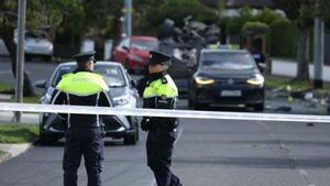 Woman (80s) dies after collision in south Dublin